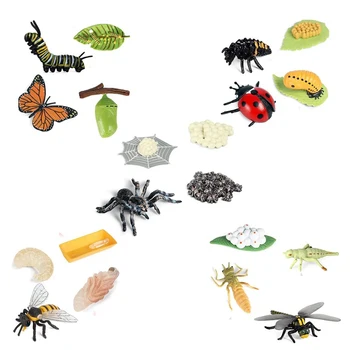 Životný Cyklus Figúrky z Motýľ Spider Bee Lienka Dragonfly Plastové Hmyzu Chybu Údaje Hračka Školský Projekt pre Deti