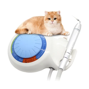 Prenosné Veterinárnej Vybavenie, Zubné Scaler Stroj Pet Elektrickým obvodom na zmenu mierky Zubné Veterinárnej